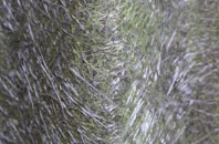 Stoven fibreglass roof work